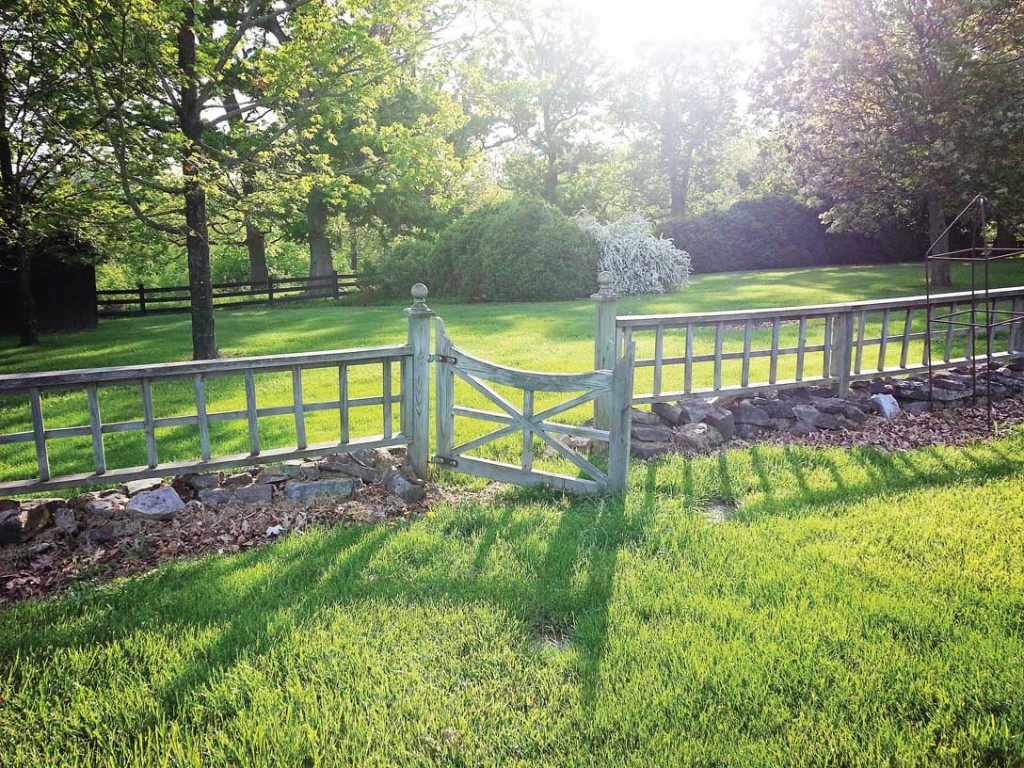 A gate at Gaie Lea